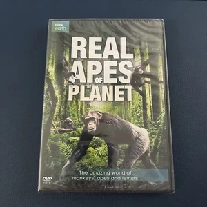 Real Apes of the Planet (DVD, 2017) - Bild 1 von 2
