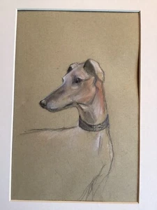 Charcoal Mounted Drawing Of A Greyhound Lurcher 19x 12cm - Picture 1 of 2