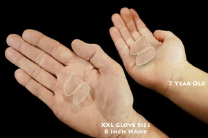 Ulexite TV Rock 3/4" 2 Stück Grade A polierte natürliche Mineralfelsen Probe - Bild 1 von 4