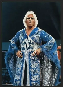 RIC FLAIR Nature Boy + ANDRE THE GIANT Original 1980er Promo Foto Japan 7 x 10 - Bild 1 von 2