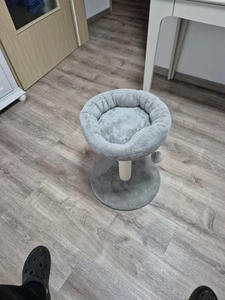 Klein Kratzbaum - Bild 1 von 4