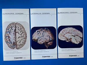 3 hojas Sawyer's Inc 1952 Triperidol Superioris y Lateralis Cerebra 2,3 y4 823f - Imagen 1 de 5