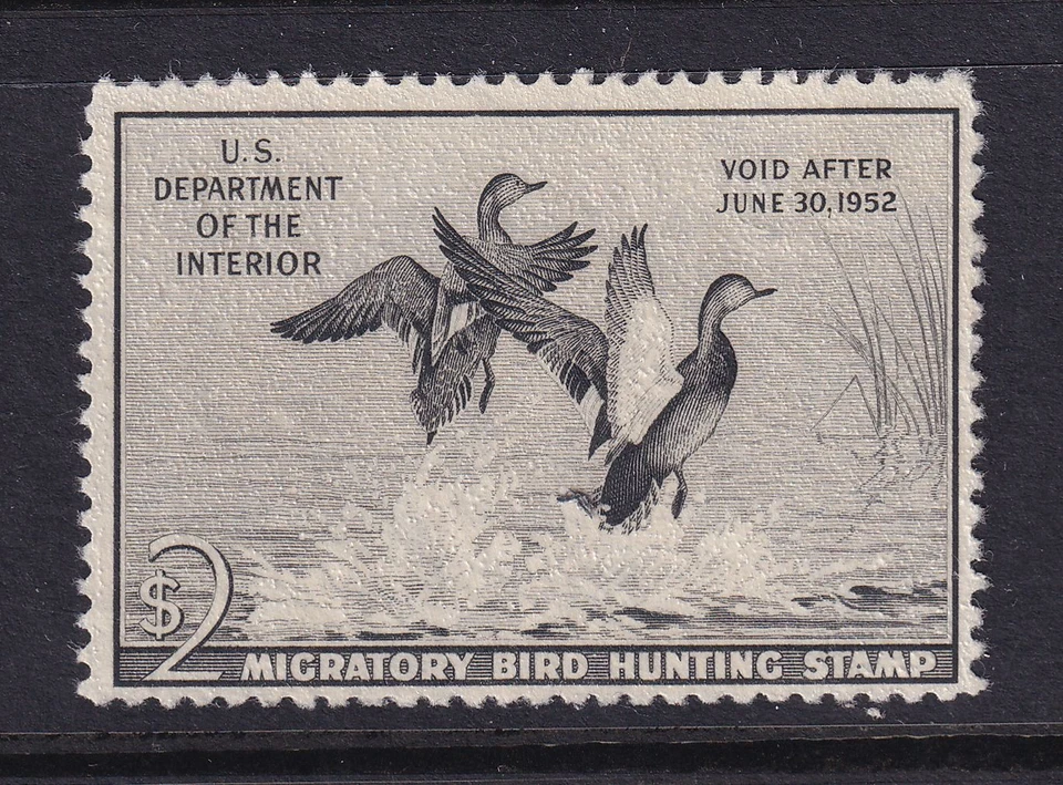1948 Federal Duck Stamp Sc RW18 MNG sem goma única Gadwall Ducks (1H - Imagem 1 de 1