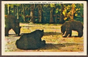 Questa cartolina ti porta auguri cartolina d'epoca orso lino da collezione - Foto 1 di 2