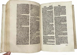 C. Heyden - Klagspiegel Inkunabel Incunable 1500 Augsburg Schönsperger Recht - Imagen 1 de 7