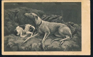 Dog Postcard Borzoi/Russian Wolfhound - Stanley Berkeley-Artist-Signed C1908 - Picture 1 of 2