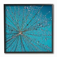 Stupell Dandelion Rain Drops Framed Giclee Texturized Art  12 x 12