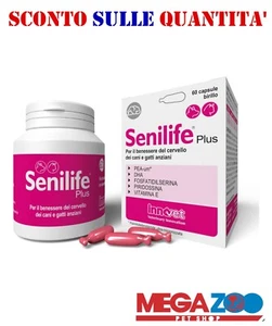 Innovet  SENILIFE PLUS  60 Capsule → Invecchiamento Cerebrale di Cani e Gatti - Foto 1 di 1