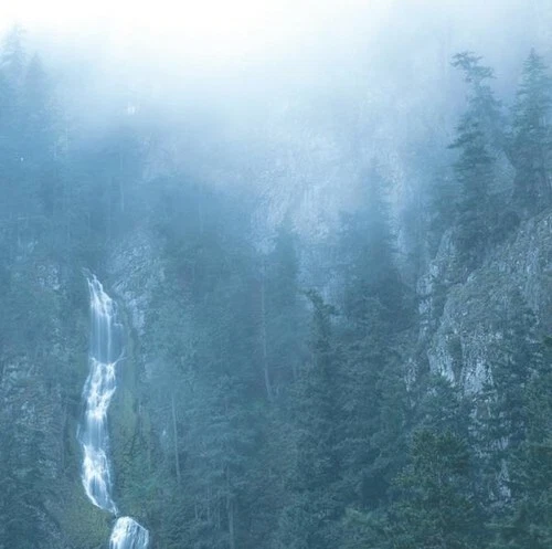 Wolves In The Throne Room - Diadem Of 12 Stars [LP] Vinyl Record - Image 1 of 1