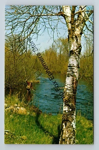 Postkarte Mann Fliege Angeln Creek River Wisconsin - Bild 1 von 2