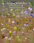 Native Savana Wildflowers of North America Poster (Size 16