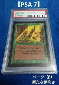 MTG Regrowth PSA 7 NM 1993 Beta English Vintage Green Spell Rare #β Classic - Picture 1 of 4