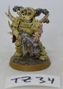 Warhammer 40k, Todeswache, Nurgle, Pestmarine, #TZ34 - Bild 1 von 5