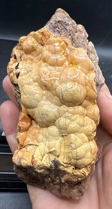 Fossilized Indiana Geode Piece 382 Grams Red Orange Snakeskin Agate Crinoid - Picture 1 of 4