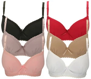 Zest Lace Trimmed Microfibre Padded Underwired Bra - Picture 1 of 24