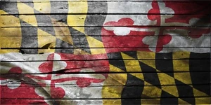 MARYLAND BANDERA GRANERO MADERA VINILO CALCOMANÍA CAMIÓN COCHE ENVOLTURA - 48" X 23" - Imagen 1 de 2