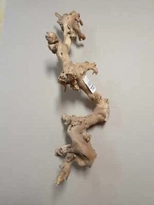 Weinrebe Spezial Rebenholz verästelt, sandgestrahlt ca 40-60 cm jedes ein Unikat - Bild 1 von 4