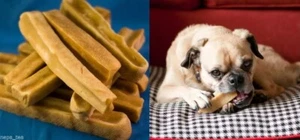 Yak orgánico del Himalaya perro masticar Pit Bulls masticar 10 KGS - Imagen 1 de 2