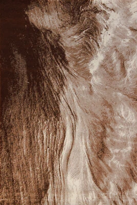 Brown Abstract Transitional 4x6 ft Rug - Image 1 of 4