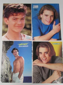 4 Pinups Poster Teenager 1990er Jahre Zeitschriften Richard Joshua Chris Jackson Ed Cibrian - Bild 1 von 2