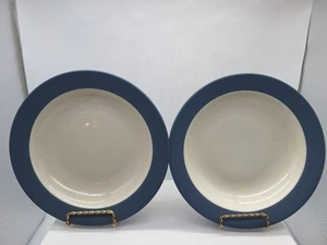 2 Noritake Pasta Bowls Colorwave Rim Blue White Bowl 8.5" #8484 Indonesia - Picture 1 of 6