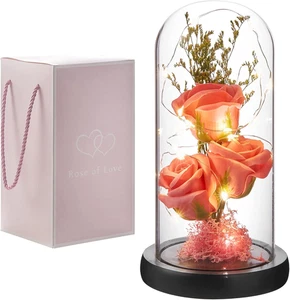 Regalo Flor Conservada, Rosa Iluminada en Cúpula de Vidrio, Flor Rosa Eterna para Siempre  - Imagen 1 de 12