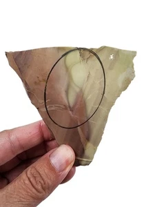 Willow Creek Jasper Natural Slab 52.2 grams. - Picture 1 of 2
