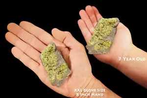 Peridot Basalt 2 1/2" 4-7 Oz rohes natürliches Bergmineral Probe Heilkristall - Bild 1 von 3