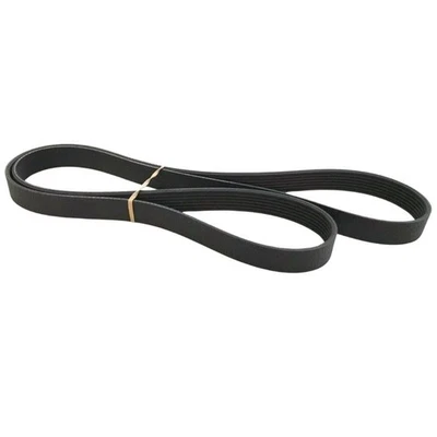 Nissan Elgrand E52 2010-2019 3.5 Alternator Belt - Image 1 of 3