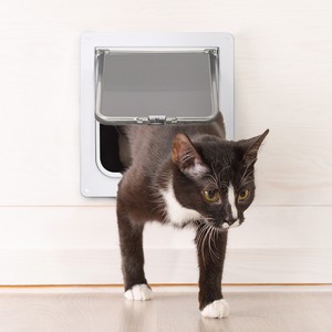 ebay cat flap