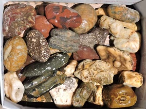 Menge WEST COAST ROCKS * 12 Pfund * GEMISCHTE BECHER Achat, Jaspis, Hornstein & Haustier Holz - Bild 1 von 24