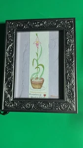 Framed Orchid Paphiopedilum Drawing Signed Botanical Art 8x6” Ornate Frame - Picture 1 of 6