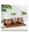 Better Homes and Gardens 3 Beaker Propagation Station, Beige Wood & Clear Glass