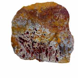 Apple Valley Agata Slab - Pseudomorfi Bastoncini Rosso Scuro - Sahara Unico - Foto 1 di 4