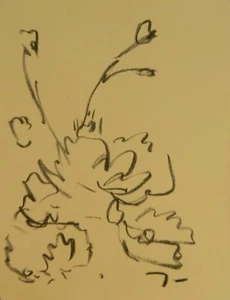 JOSE TRUJILLO - Original Charcoal Sketch 9X12" DESERT WILD FLOWER EXPRESSIONIST - Picture 1 of 8