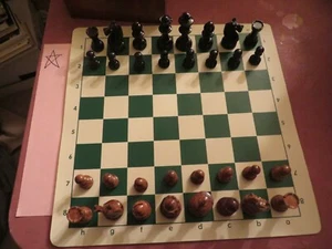 Juego de ajedrez vintage Allan Troy-RARO Lardy "glass eye knight" juego de madera Ed #7 2/3 - Imagen 1 de 11