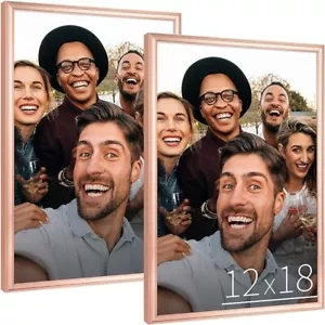 2er-Pack Anozie 12x18 Bilderrahmen Rose, 12x18 Bilderrahmen mit HD Plexiglas - Bild 1 von 7