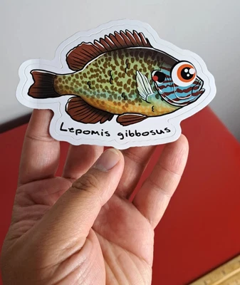 PEGATINA BRILLANTE TROQUELADA EPF Pumpkinseed (dibujos animados japoneses)! Foto 1 de 2