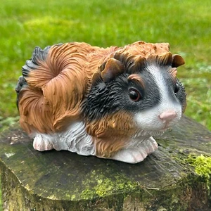 Guinea Pig figurine tri-colour tortoiseshell long hair ornament Cavie lover gift - Picture 1 of 6