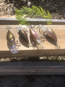 Custom Pre-Rap Style Wart Premium Blank Phantom Copper Trout - Picture 1 of 12