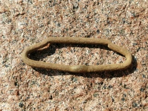 WW1 Russian Imperial Army Original Uniform Belt Buckle Brass Hook (1734) - Picture 1 of 3