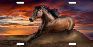 HORSE LICENSE PLATE WILD STALLION SUNSET AND DESERT - Picture 1 of 1