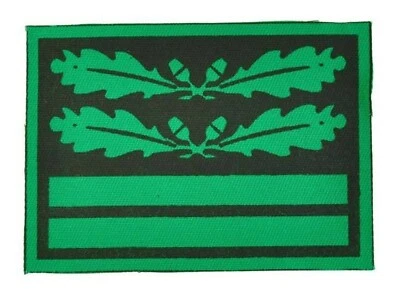 grade Oberst-leutnant tenue camouflée allemande 2e guerre mondiale