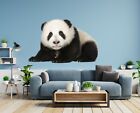 3D Panda Lying Down B415 Animal Wallpaper Mural Poster Wall Stickers Decal Zoe