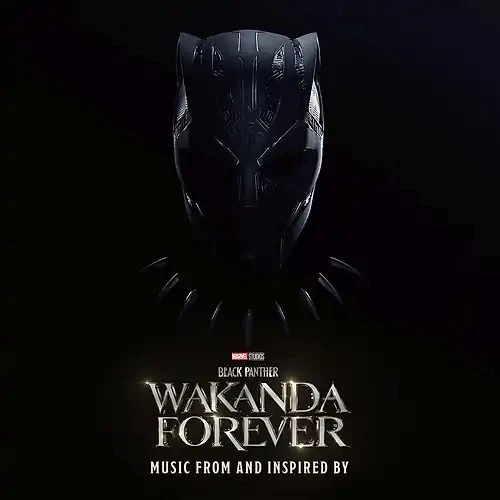 Black Panther: Wakanda Forever - Bild 1 von 1