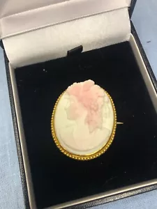 Antique Victorian 15Ct Gold Satin Coral Cameo Brooch / c 1860 - Picture 1 of 20