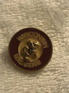 Vintage Wisconsin Badgers pin mascot football basketball collegiate - Picture 1 of 1