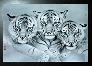 SCHWARZ GERAHMTER WEISSER TIGER TRIO - 3D BILD DRUCK 425mm x 325mm - Bild 1 von 2