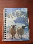 Mule Sheep notebook North Of England Mule Sheep In Snow Notebooks A6 Mule Gimmer