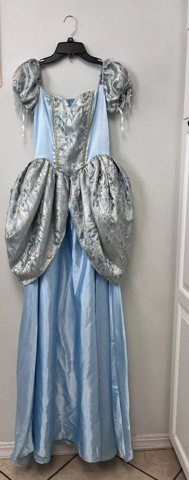 灰姑娘公主剧院皇家礼服服装迪士尼角色 — 第 1/4 张图片